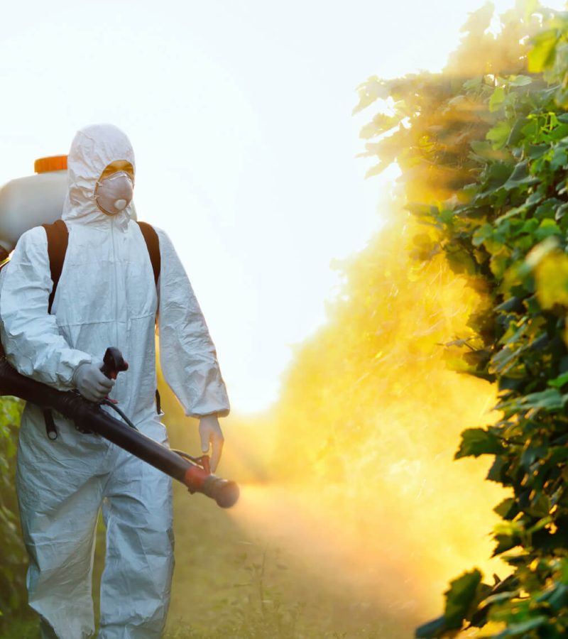 iStock-StoykoSabotanov-Pesticide